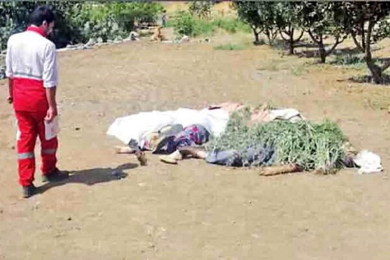 جنایت هولناک خانوادگی؛ داماد پنج نفر را کشت و خودکشی کرد