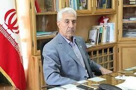 بیش از ۵۰ درصد فارغ التحصیلان کارشناسی شاغل هستند/ آخرین آمار وضعیت اشتغال دانش آموختگان دانشگاهی از زبان وزیر علوم