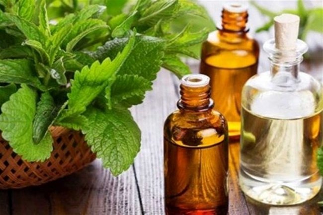 توصیه‌های کابردی در طب سنتی برای رفع یبوست