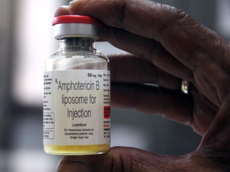 آمفوتریسین بی چیست؟ + نحوه تزریق، قیمت و خرید داروی قارچ سیاه کرونا amphotericin B