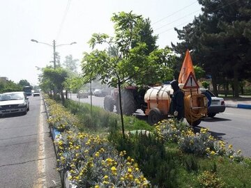 روند سمپاشی درختان شهر اصفهان