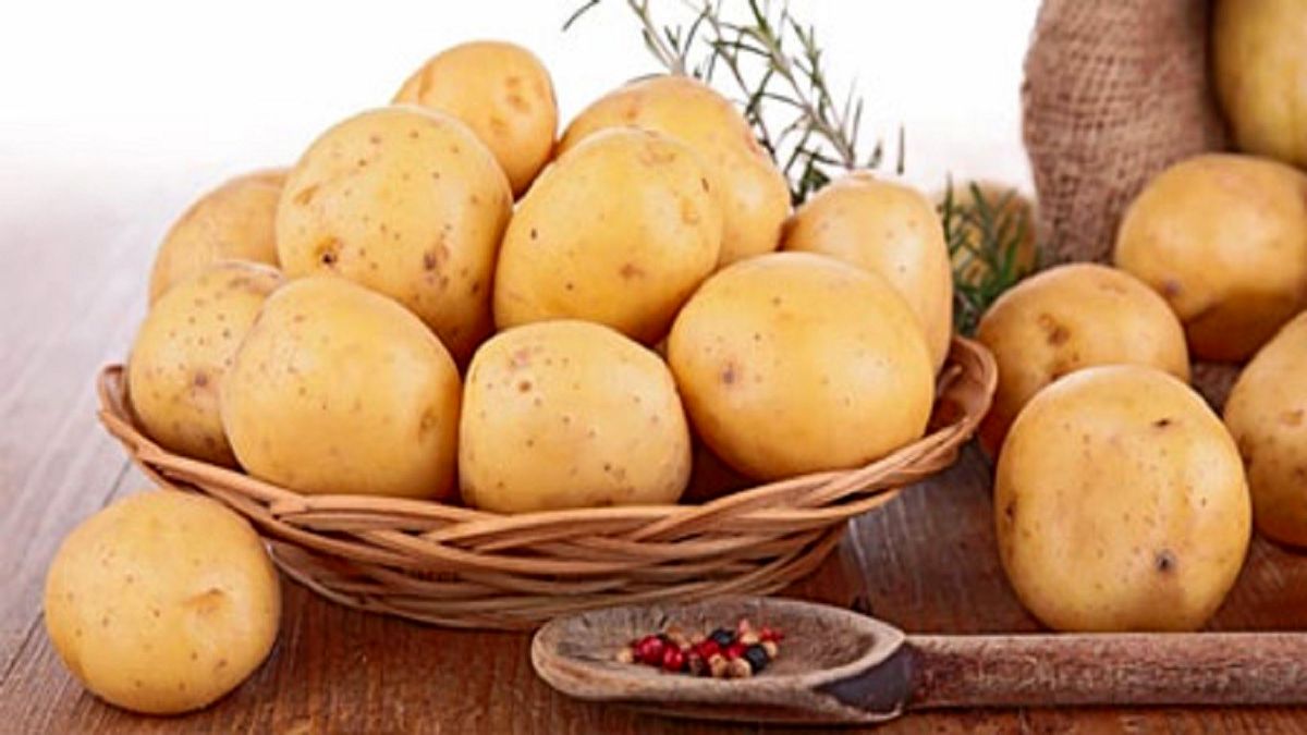 بهترین روش نگهداری سیب زمینی چیست؟