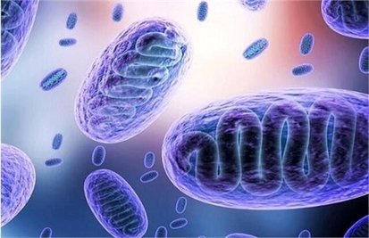 کرونا و قارچ سیاه؛ماسک های اکسیژن عاملی برای ابتلا به قارچ سیاه