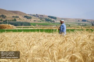 زمان بازگشایی زاینده‌رود برای کشت پاییزه اعلام نشده است