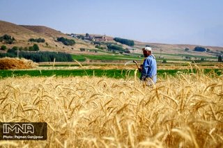 زمان بازگشایی زاینده‌رود برای کشت پاییزه اعلام نشده است