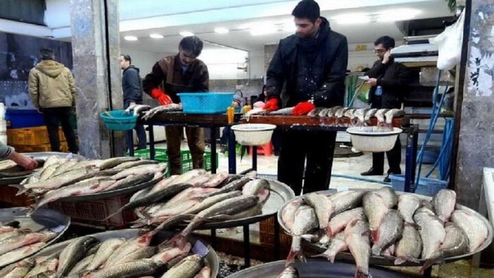 قیمت انواع ماهی در بازار