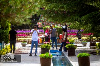 پاییز باغ گلها دیدنی است