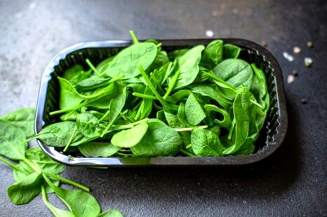 آموزش چگونگی کاشت و پرورش اسفناج