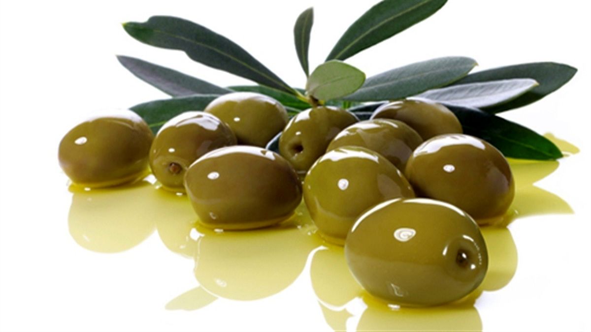 قیمت انواع زیتون کنسروی در بازار