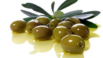 قیمت انواع زیتون کنسروی در بازار