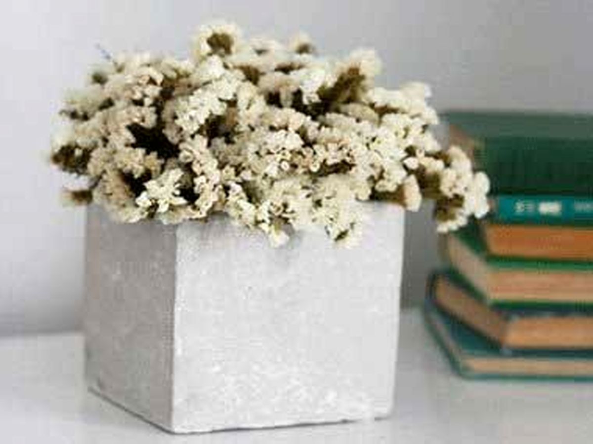 با چند مرحله به راحتی گل ها را خشک کنید