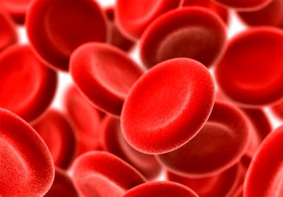 ۴۰ درصد زنان باردار کم‌خونی دارند/ توصیه‌هایی برای پیشگیری از فقر آهن