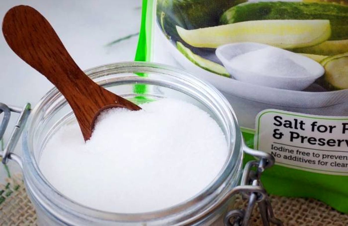 روش نگهداری صحیح و جلوگیری از خراب شدن خیارشور