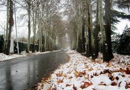 برف و باران ۵ روزه در ۱۴ استان/ افزایش آلودگی هوا در شهرهای صنعتی