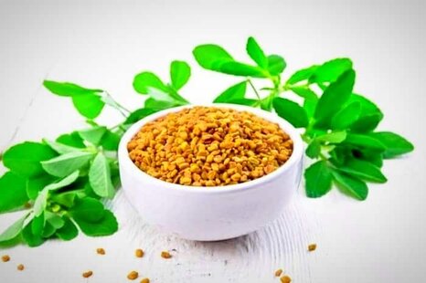 خواص شنبلیله و فواید برگ و روغن آن در زیبایی و سلامت بدن