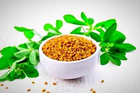 خواص شنبلیله و فواید برگ و روغن آن در زیبایی و سلامت بدن