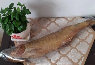 طرز تهیه ماهی دودی خوشمزه