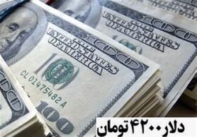 نوروزی: به جای یارانه نقدی کالابرگ به مردم بدهید