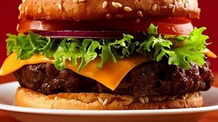 انواع همبرگر در بازار چند؟
