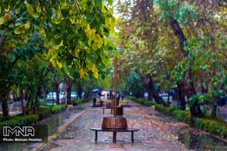 برگ‌های پاییزی درختان چهارباغ عباسی جمع‌آوری نمی‌شود