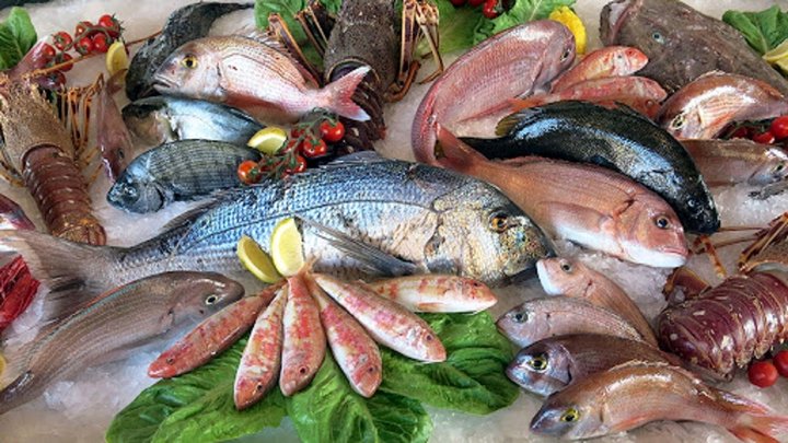 قیمت ماهی  چقدر است؟