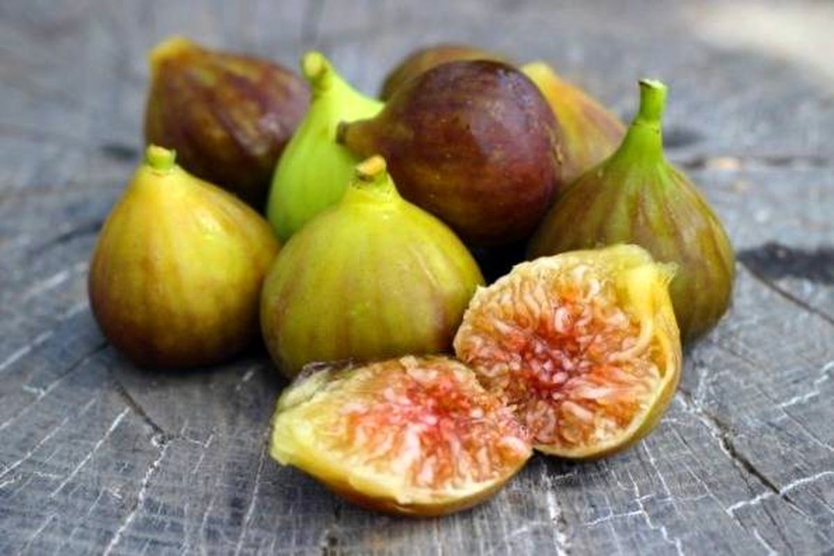 عوارض انجیر خشک و تازه برای سلامت بدن