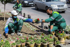 گل‌کاری ۹ هزار مترمربع از باغچه‌های منطقه ۹