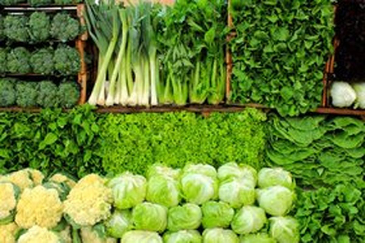 نظارت مستقیم بر قیمت میوه و صیفیجات در دوشنبه بازار بعثت