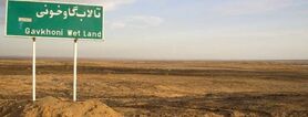 سونامي ريزگردهاي گاوخوني در راه است