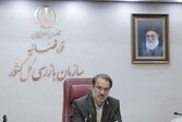 بازرسان دست صاحبان نفوذ را از حوزه نفت و پتروشیمی کوتاه کنند