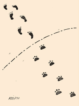 بدون شرح