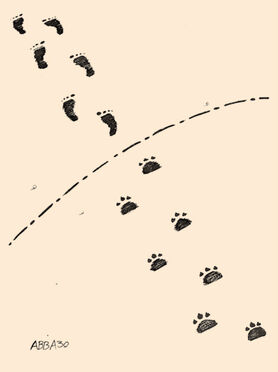 بدون شرح