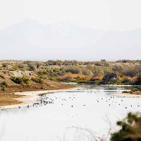 سند احیای زاینده‌رود و گاوخونی؛ اجماع بر سر حل مشکل آب