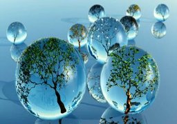 آب سر رفته از جوی و آموزش شهروندی