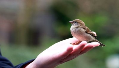 سعادت دیدار با آدم‌های خوش انرژی