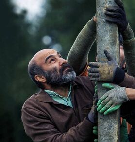ناکامی ایران ادامه دارد