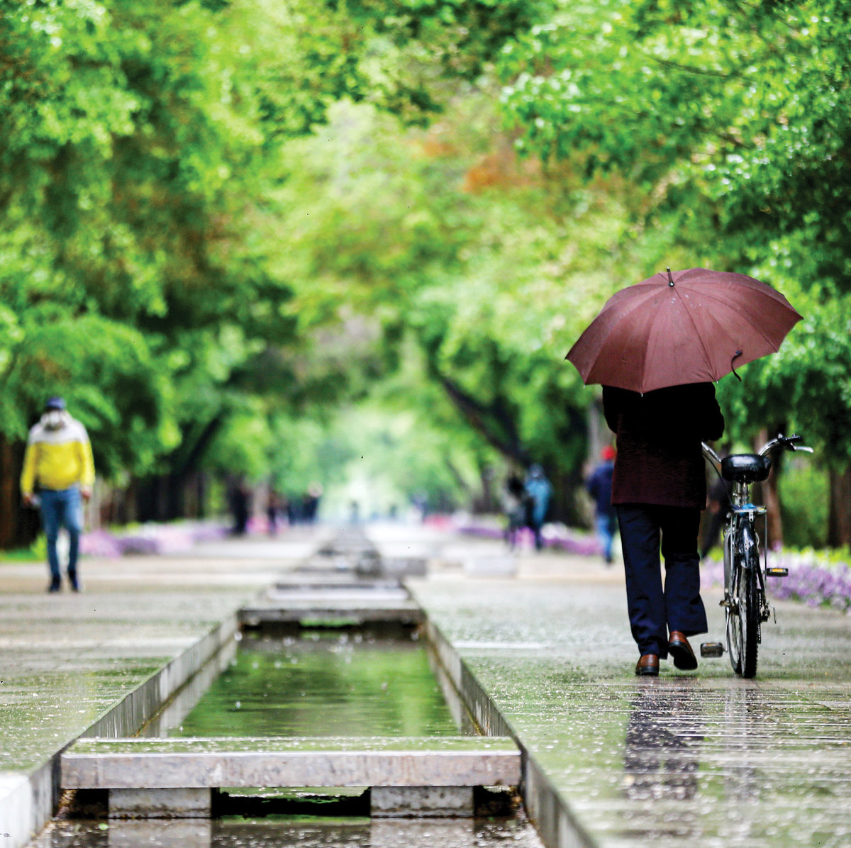 شایعه پیاده‌راه‌ شهر را نشانه رفته است : چهارباغ قلب نشاط اجتماعی اصفهان