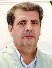 پیشگامی ذوب‌آهن در بومی‌سازی با ایجاد زیرساخت زنجیره تولید