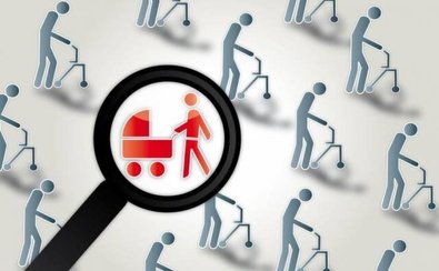 مخاطرات یک رشد 