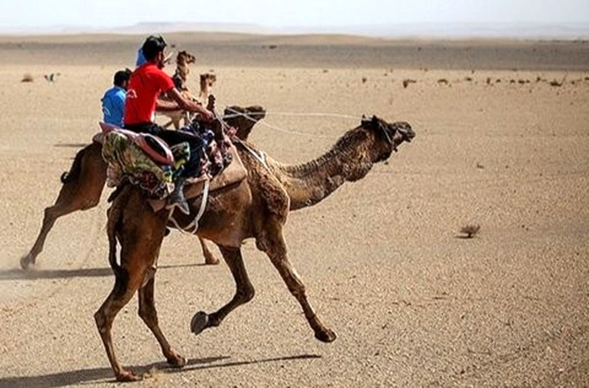 تپههای شنی ورزنه به جای صحرای مصر