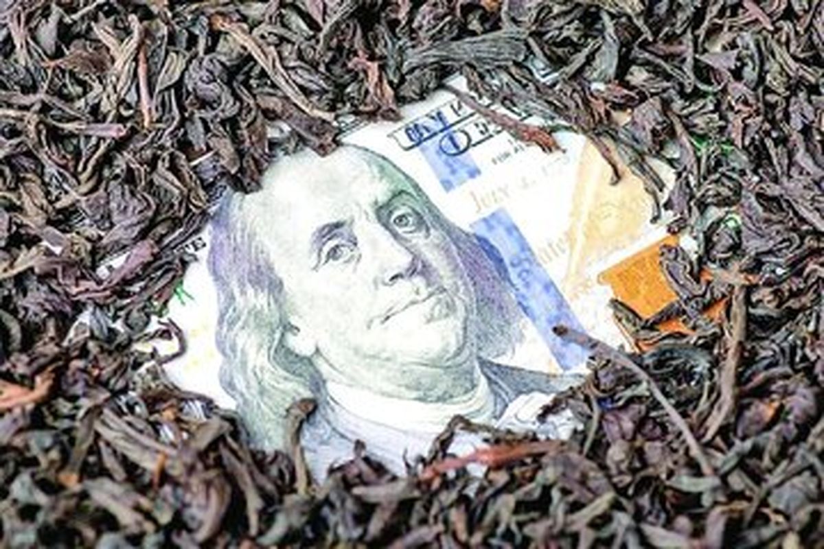 با پول «چای دبش» حقوق بازنشستگان چقدر زیاد میشد؟