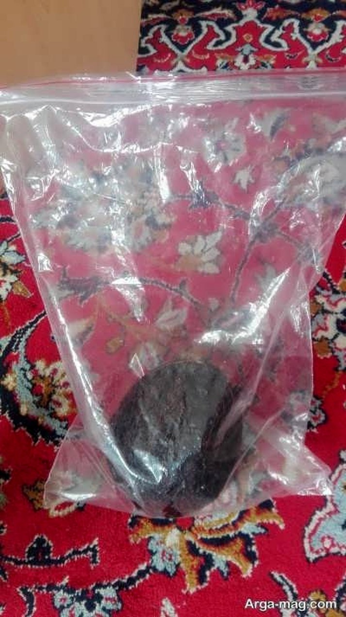 آموزش تصویری کاشت نارگیل در خانه و شرایطی که برای پرورش آن ایجاد کنید