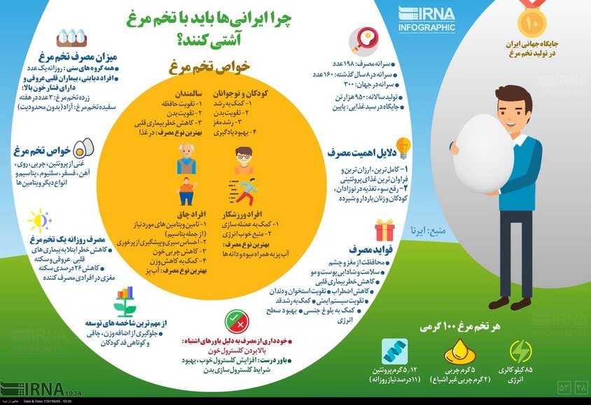 اینفوگرافی؛ چرا ایرانی‌ها باید با تخم‌مرغ آشتی کنند
