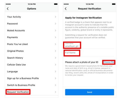 چگونگی گرفتن تیک آبی در اینستاگرام
