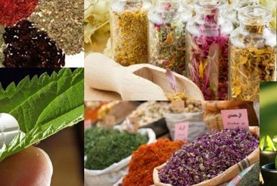 دومین جشنواره طبیعت گردی و طب سنتی نطنز تیرماه برگزار می شود