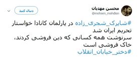 «دختر خیابان انقلاب» وطن‌فروش از آب درآمد!