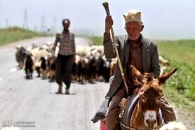 ۵۱ هزار نفر از عشایر از ۲۰ تا ۳۰ اردیبهشت وارد اصفهان می‌شوند