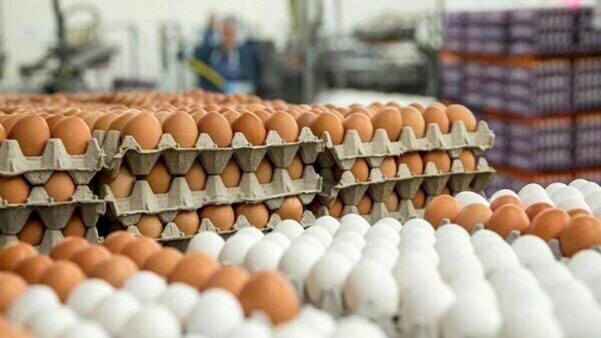 ممنوعیت صادرات تخم‌مرغ، سیب‌زمینی، گوجه‌فرنگی و خرما ابلاغ شد