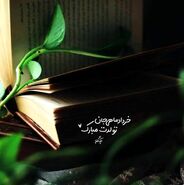 ۴۰ عکس پروفایل خرداد ماهی 1404 جدید و خاص برای استوری و وضعیت اینستاگرام