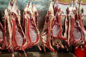 تمام واحدهای تولید دام و طیور در اصفهان فعال هستند